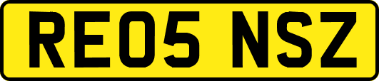 RE05NSZ