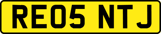 RE05NTJ