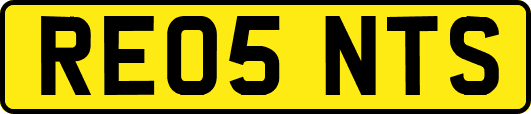 RE05NTS