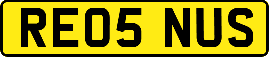 RE05NUS