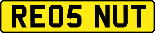 RE05NUT