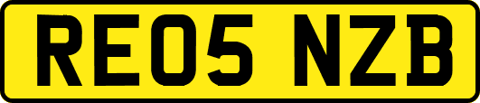 RE05NZB