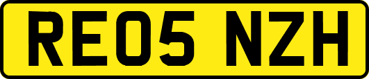 RE05NZH