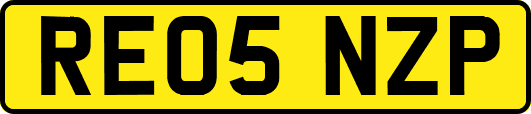 RE05NZP