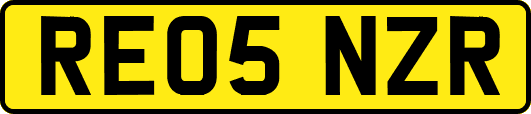 RE05NZR