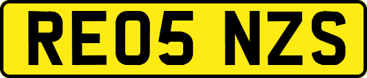 RE05NZS