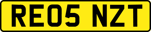 RE05NZT