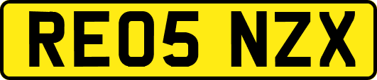 RE05NZX