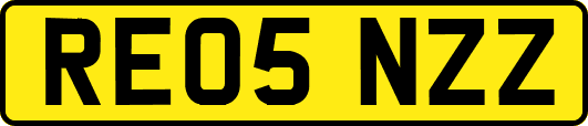 RE05NZZ