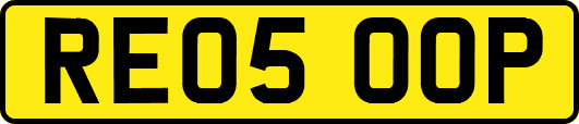 RE05OOP