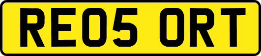 RE05ORT