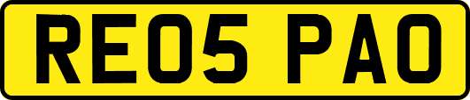 RE05PAO