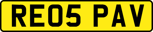 RE05PAV