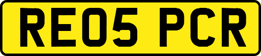 RE05PCR