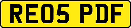 RE05PDF