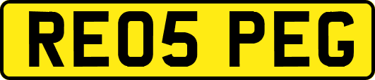 RE05PEG