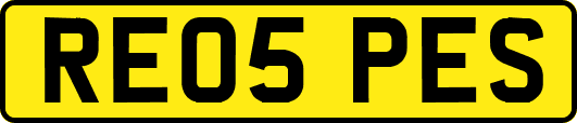 RE05PES