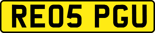 RE05PGU