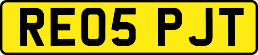 RE05PJT