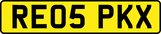 RE05PKX