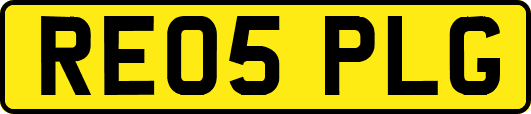 RE05PLG