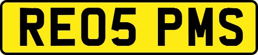 RE05PMS