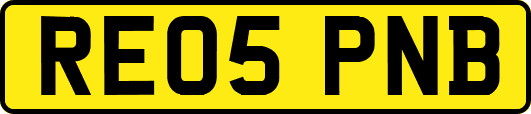 RE05PNB