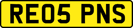 RE05PNS