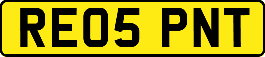 RE05PNT