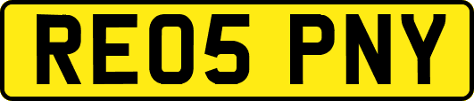 RE05PNY