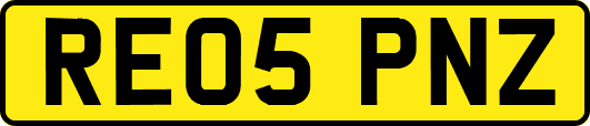 RE05PNZ