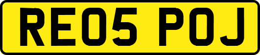 RE05POJ