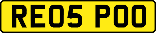 RE05POO