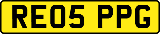 RE05PPG