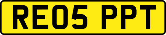 RE05PPT