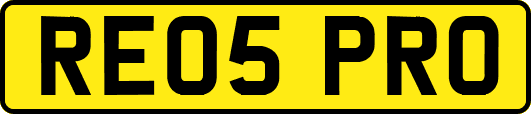 RE05PRO