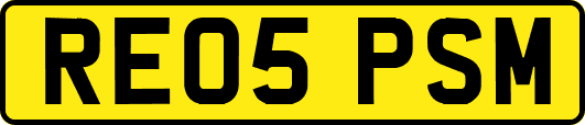 RE05PSM