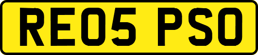 RE05PSO