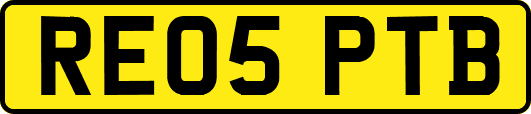 RE05PTB