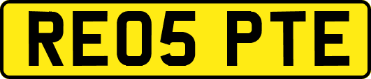 RE05PTE