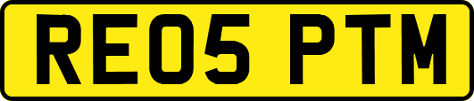 RE05PTM
