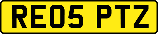 RE05PTZ