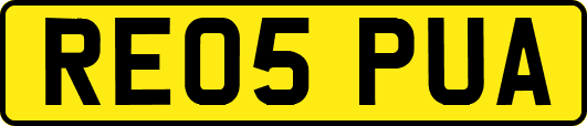 RE05PUA