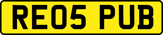 RE05PUB