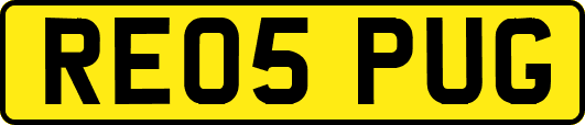 RE05PUG