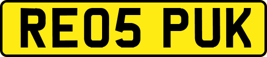 RE05PUK