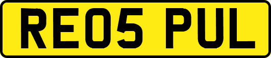 RE05PUL