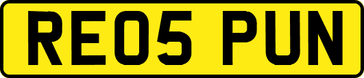 RE05PUN