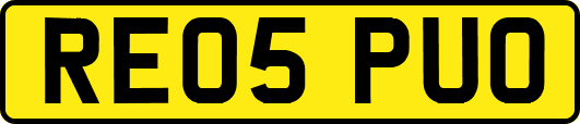 RE05PUO