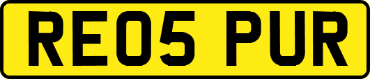 RE05PUR